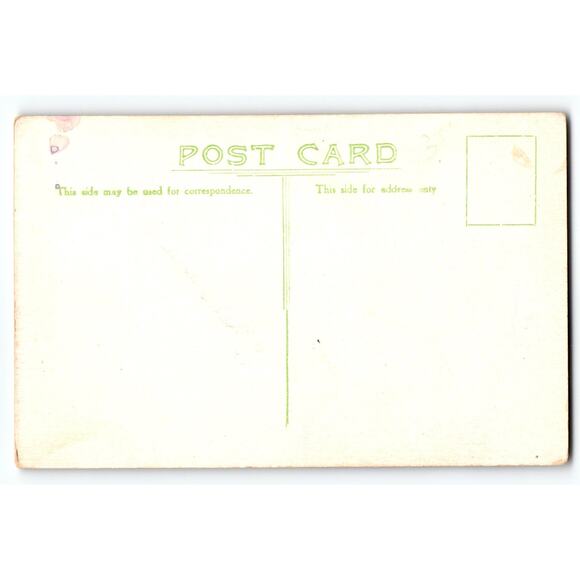 Vintage European Gold Finch Bird Lithograph Postcard with Call Note - Picture 2 of 2